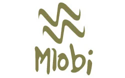 Mlobi Investments (Pty) Ltd logo