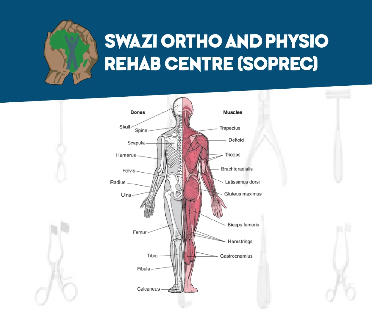 Swazi Ortho And Physio Rehab Centre (SOPREC) — view organisation