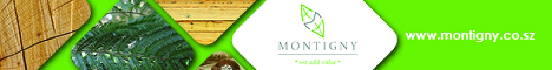 Montigny Investments Pty Ltd — view organisation